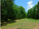 XXX Tressel Trail, Iron River, WI 54847