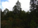 1765 East Wilderness Ct, Barnes, WI 54873