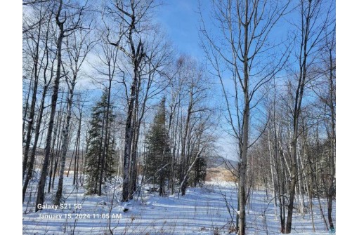 88XXX Eagle Bluff Dr, Bayfield, WI 54814