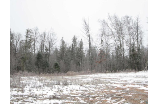 80 ACRES County Rd L, Hawthorne, WI 54874