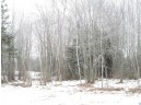 80 ACRES County Rd L, Hawthorne, WI 54874