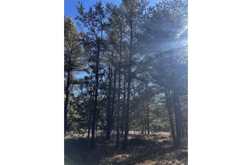 LOT 8 North Riverside Rd, Cable, WI 54821