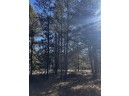 LOT 8 North Riverside Rd, Cable, WI 54821