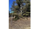 LOT 8 North Riverside Rd, Cable, WI 54821