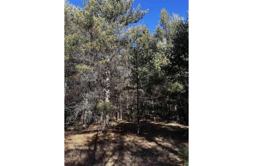 LOT 8 North Riverside Rd, Cable, WI 54821