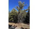 LOT 8 North Riverside Rd, Cable, WI 54821