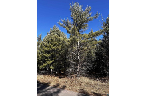 LOT 8 North Riverside Rd, Cable, WI 54821