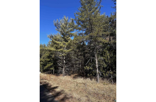 LOT 8 North Riverside Rd, Cable, WI 54821