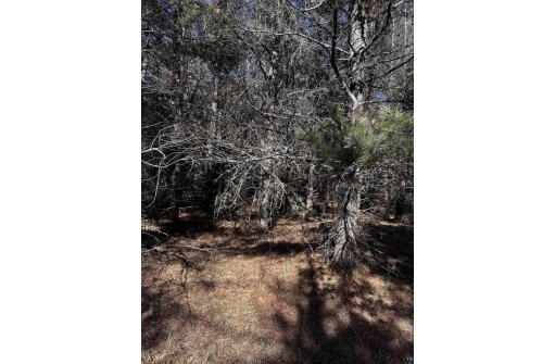 LOT 8 North Riverside Rd, Cable, WI 54821