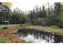 14385 Cranberry River Rd, Herbster, WI 54844