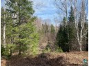 75XX South County Rd P, Lake Nebagamon, WI 54849