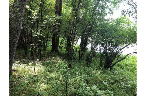 LOT 5 Eagle Point Road, Menomonie, WI 54751