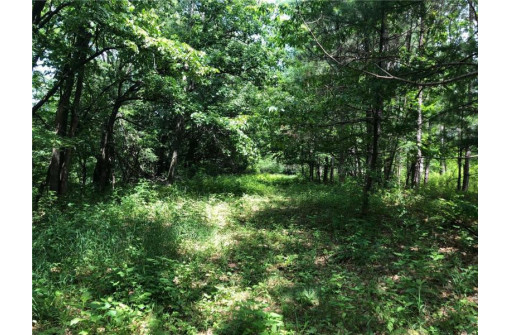 LOT 5 Eagle Point Road, Menomonie, WI 54751