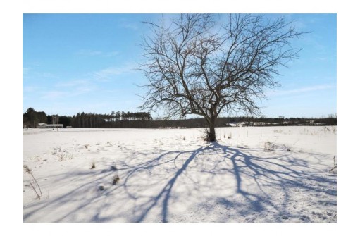 LOT 1B West Walnut St, Strum, WI 54770