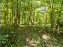 LOT 1 186th Ave, Balsam Lake, WI 54810