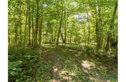 LOT 1 186th Ave, Balsam Lake, WI 54810