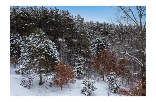 LOT 3 & 4 Paulsen Lake Lane, Osceola, WI 54020