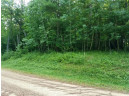 LOT 18 297th Street, Eau Galle, WI 54737