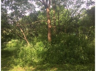 LOT 1 Hwy D Colfax, WI 54730
