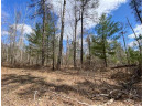 LOT 2 Pash Drive, Trego, WI 54888