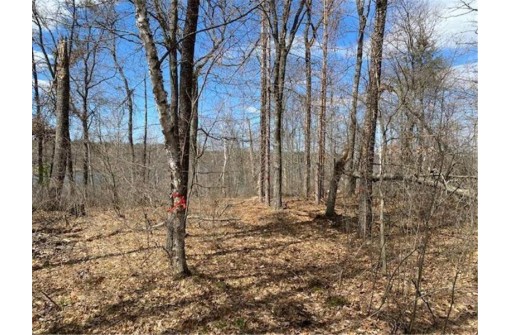 LOT 2 Pash Drive, Trego, WI 54888