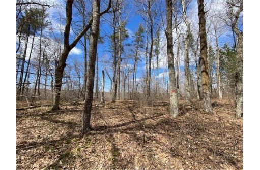 LOT 2 Pash Drive, Trego, WI 54888