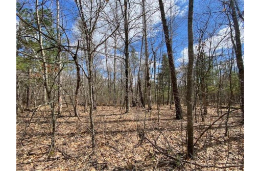 LOT 2 Pash Drive, Trego, WI 54888