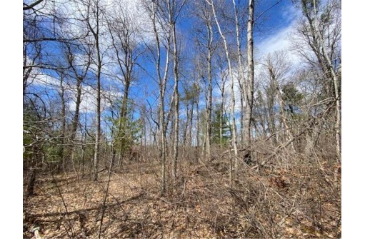 LOT 2 Pash Drive, Trego, WI 54888