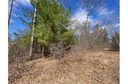 LOT 2 Pash Drive, Trego, WI 54888