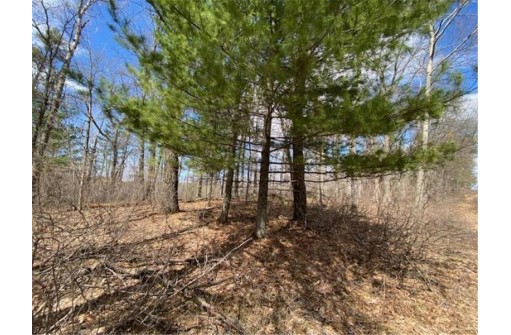 LOT 2 Pash Drive, Trego, WI 54888