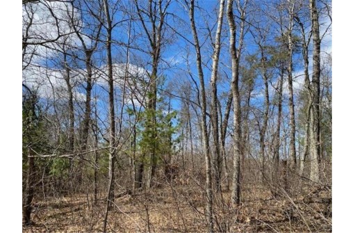 LOT 2 Pash Drive, Trego, WI 54888