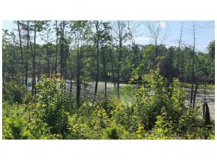 LOT 3 30th St. Comstock, WI 54826
