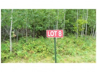 LOT 8 Cty Hwy H Webster, WI 54893