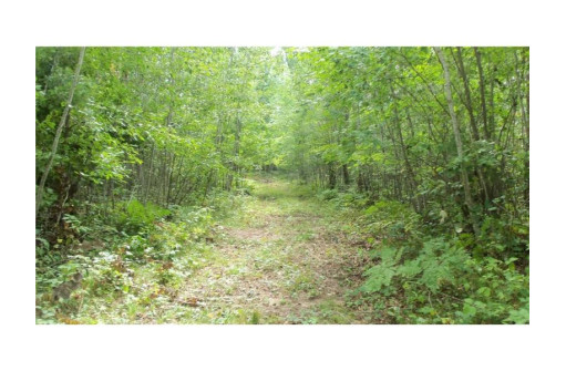 LOT 8 Cty Hwy H, Webster, WI 54893