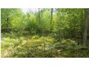 LOT 8 Cty Hwy H, Webster, WI 54893