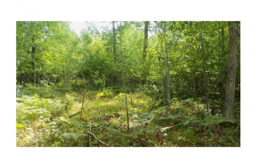 LOT 8 Cty Hwy H, Webster, WI 54893