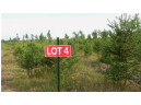 LOT 4 High Ridge Trl, Webster, WI 54893