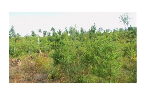 LOT 4 High Ridge Trl, Webster, WI 54893