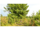 LOT 4 High Ridge Trl, Webster, WI 54893