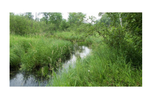 LOT 4 High Ridge Trl, Webster, WI 54893