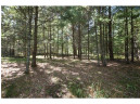 5 ACRES Olsen Road, Webster, WI 54893