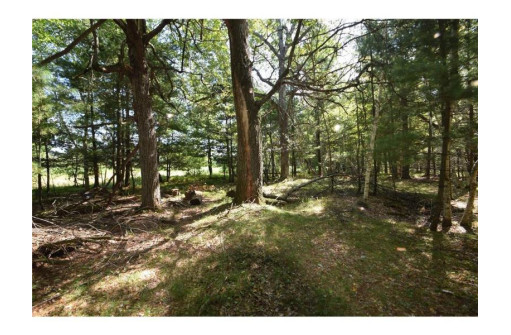 5 ACRES Olsen Road, Webster, WI 54893