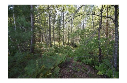 5 ACRES Olsen Road, Webster, WI 54893