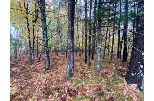 LOT 4 River Road, Gordon, WI 54838