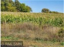 1137 178th St./Dalton Farm Road, Lot 17, Hammond, WI 54015