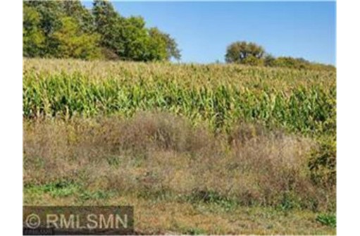 1137 178th St./Dalton Farm Road, Lot 17, Hammond, WI 54015