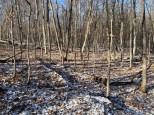 LOT 6 186th Ave Balsam Lake, WI 54810