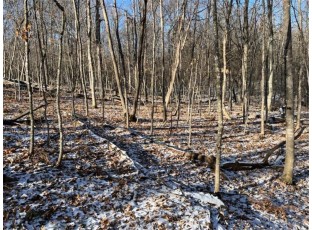 LOT 6 186th Ave Balsam Lake, WI 54810