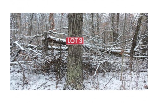 LOT 3 Blackberry Rd, Trego, WI 54888