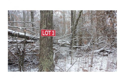 LOT 3 Blackberry Rd, Trego, WI 54888